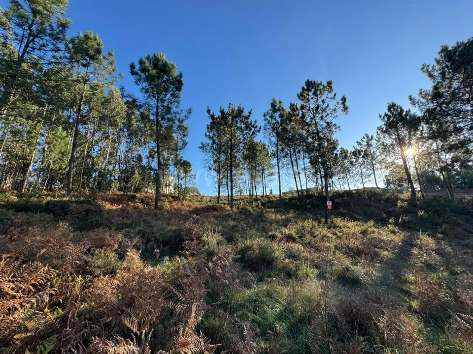Terreno para Venda em Sandim, Olival, Lever e Crestuma Foto 1