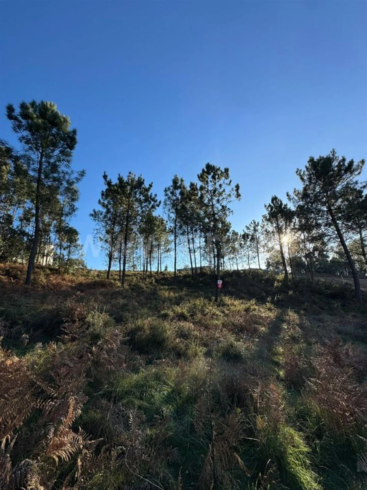 Terreno para Venda em Sandim, Olival, Lever e Crestuma Foto 3