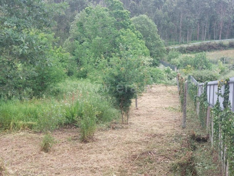 Terreno para Venda em Argoncilhe Foto 17