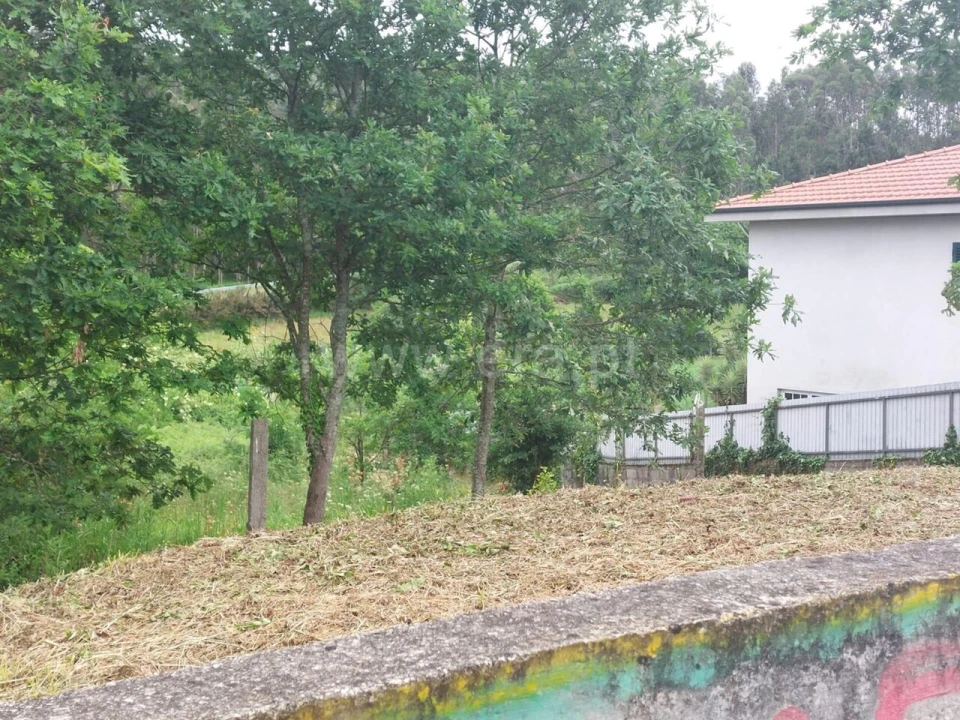 Terreno para Venda em Argoncilhe Foto 14