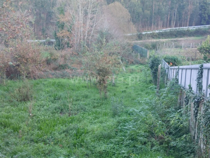 Terreno para Venda em Argoncilhe Foto 7