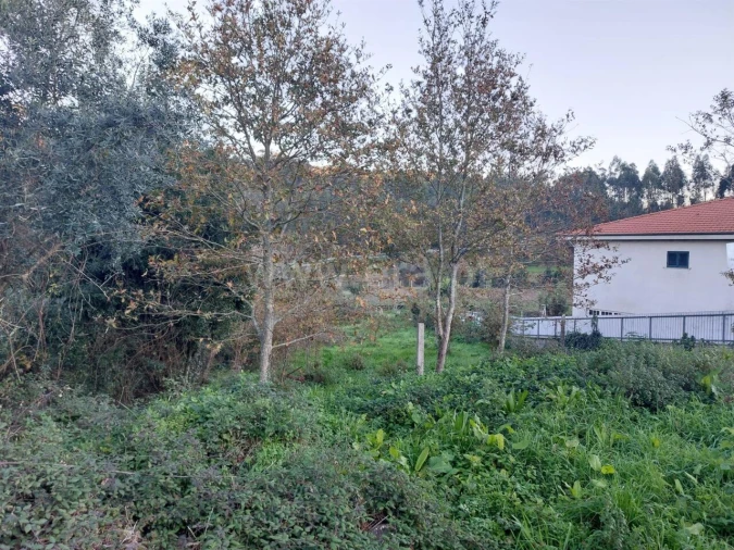 Terreno para Venda em Argoncilhe Foto 6