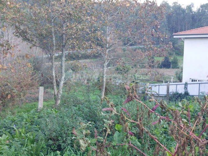 Terreno para Venda em Argoncilhe Foto 4