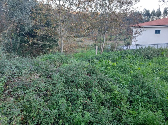 Terreno para Venda em Argoncilhe Foto 5