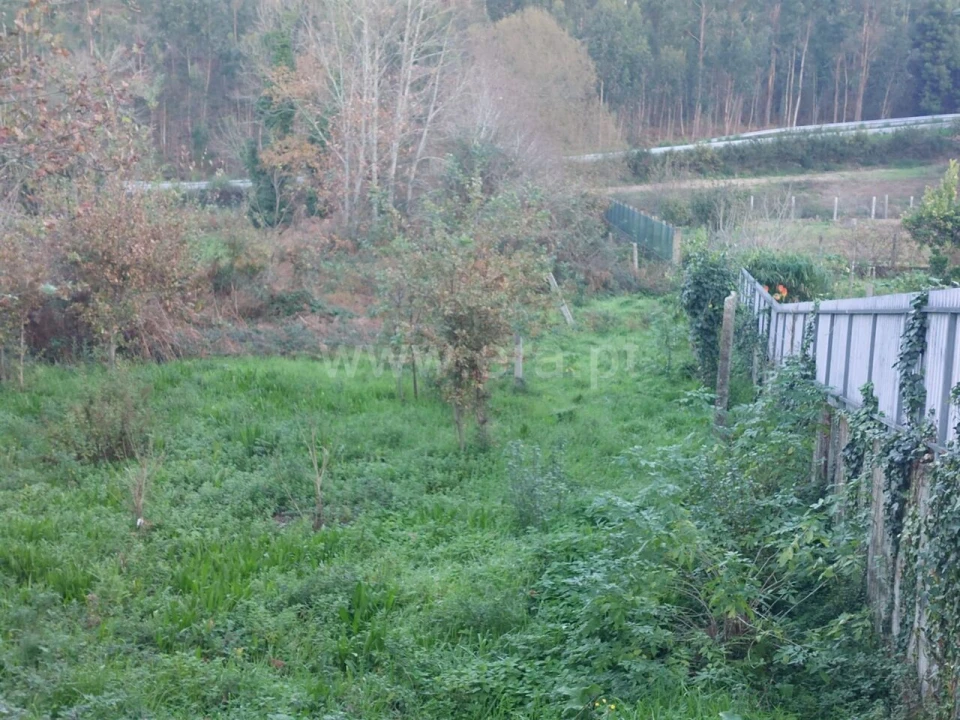 Terreno para Venda em Argoncilhe Foto 7