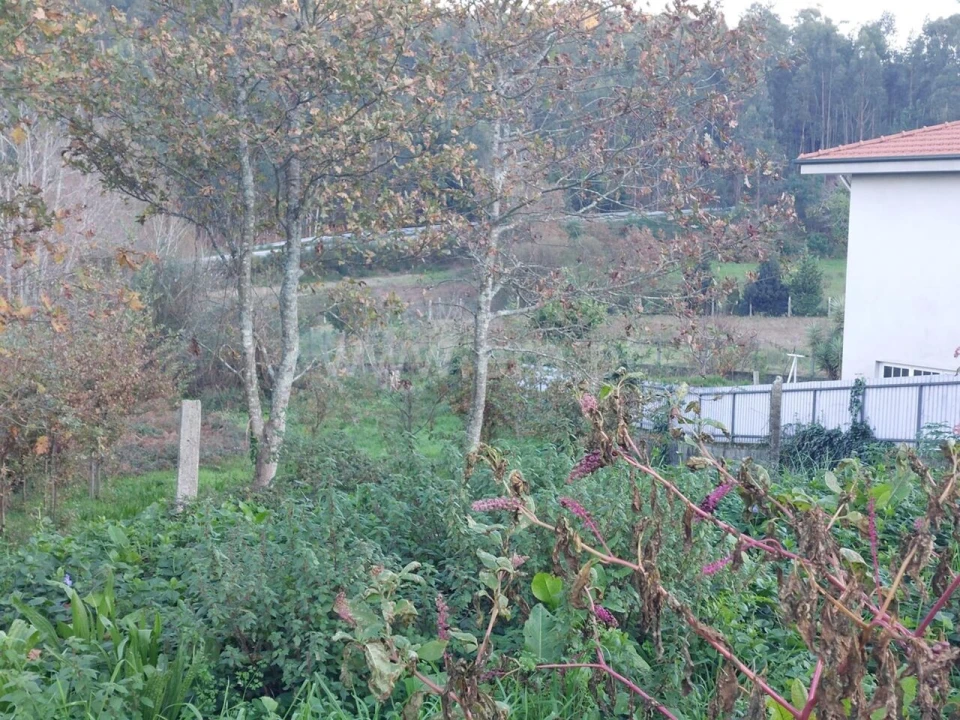 Terreno para Venda em Argoncilhe Foto 4