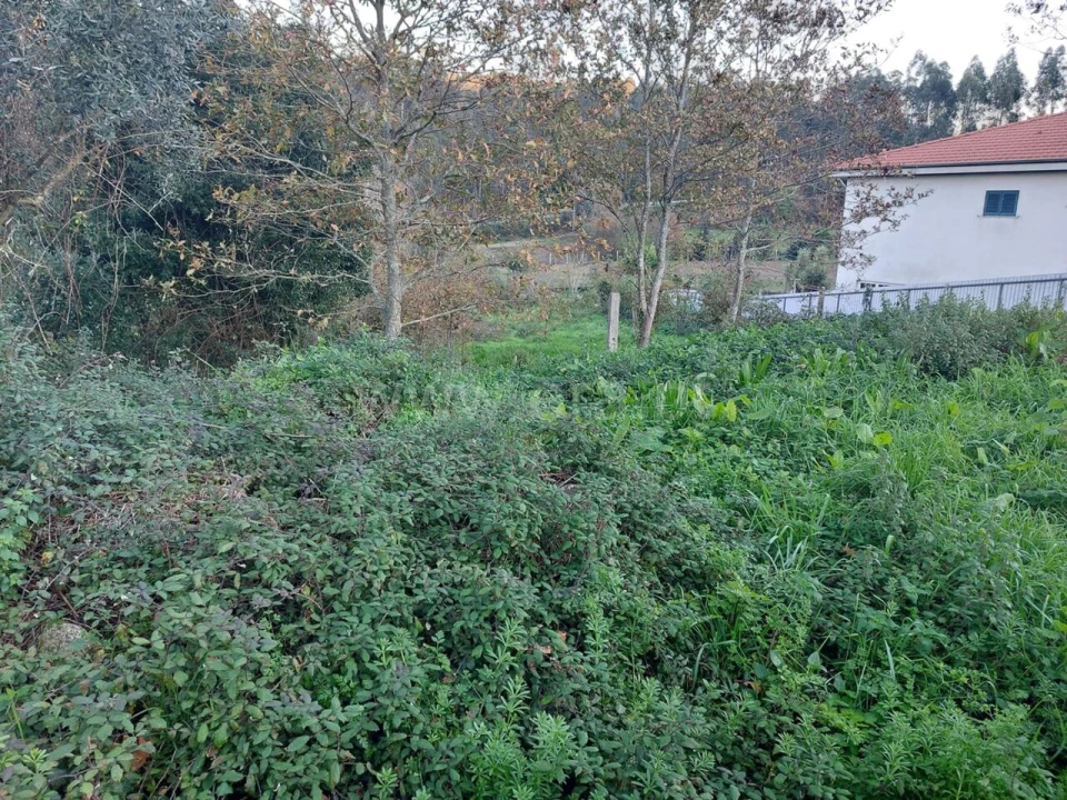 Terreno para Venda em Argoncilhe Foto 5