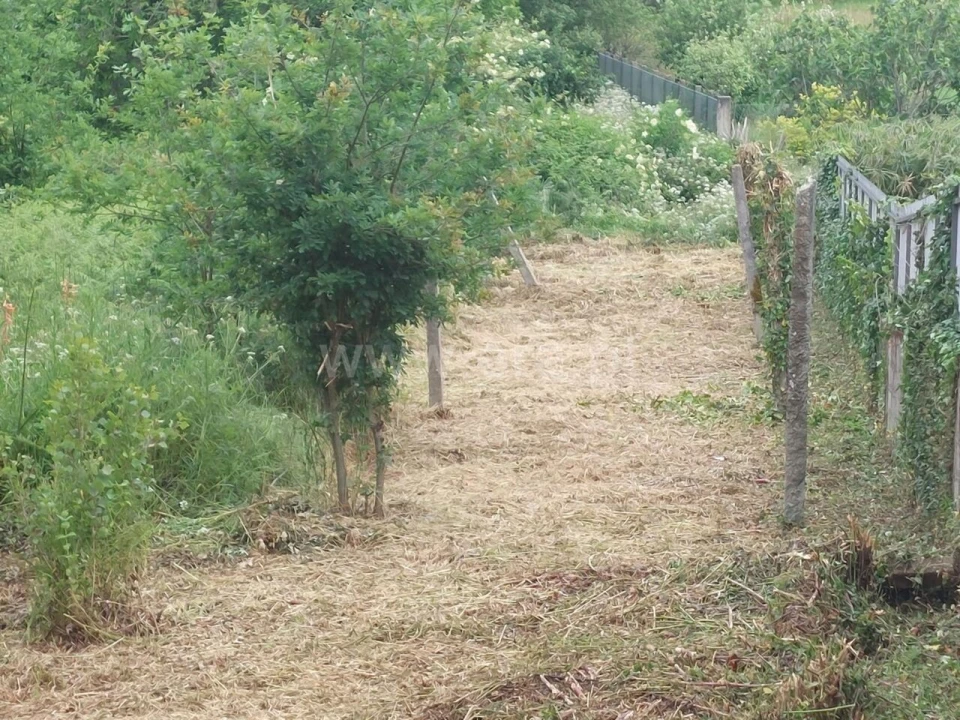 Terreno para Venda em Argoncilhe Foto 13