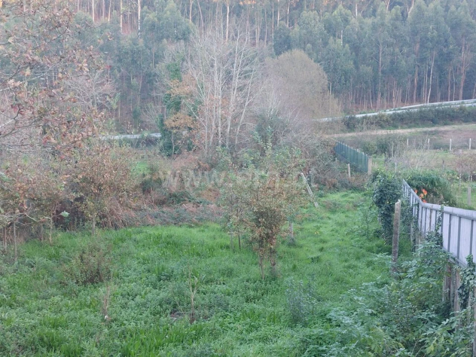 Terreno para Venda em Argoncilhe Foto 8