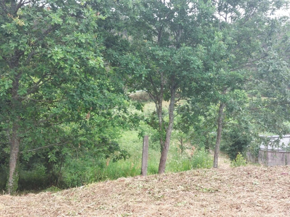 Terreno para Venda em Argoncilhe Foto 15