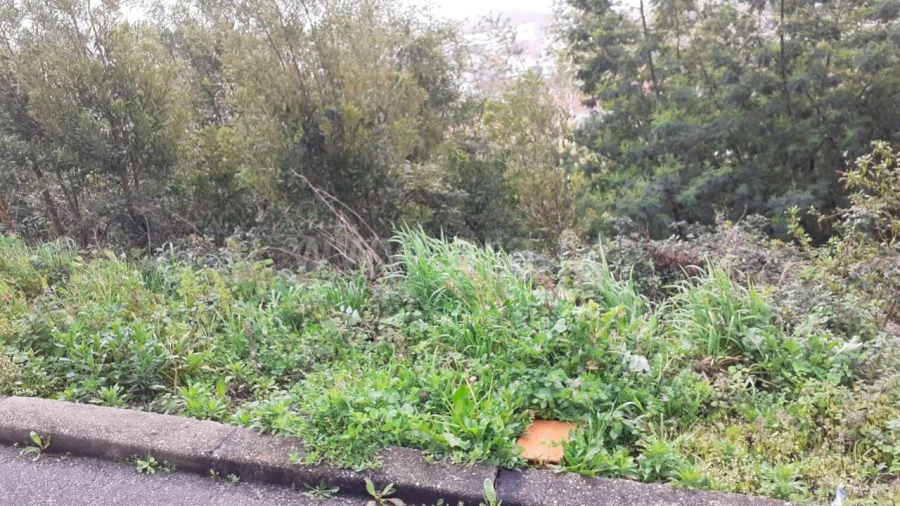 Terreno para Venda em Grijó e Sermonde Foto 6
