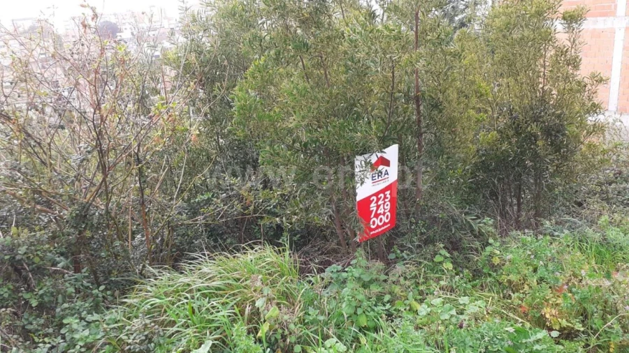Terreno para Venda em Grijó e Sermonde Foto 9