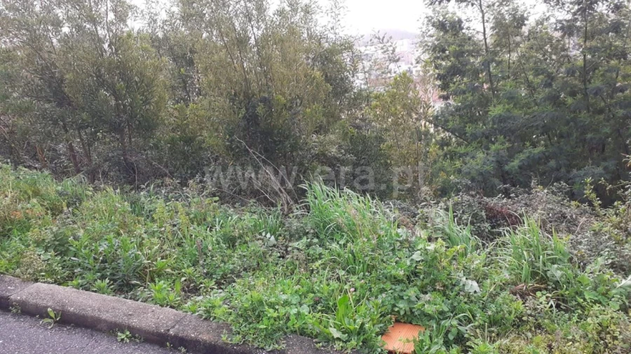 Terreno para Venda em Grijó e Sermonde Foto 7