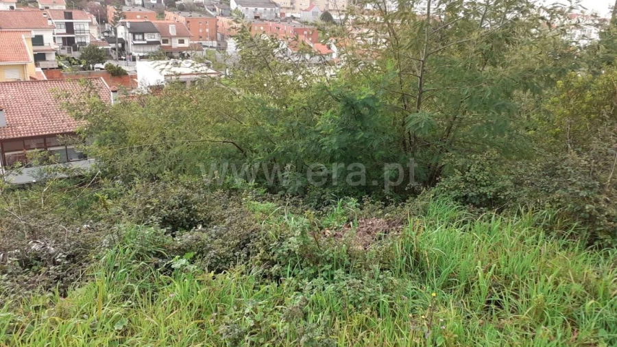 Terreno para Venda em Grijó e Sermonde Foto 5
