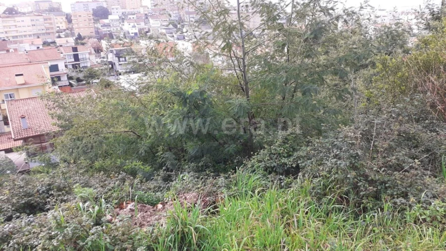 Terreno para Venda em Grijó e Sermonde Foto 8