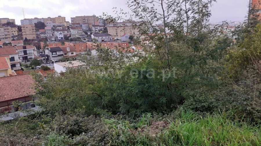 Terreno para Venda em Grijó e Sermonde Foto 4