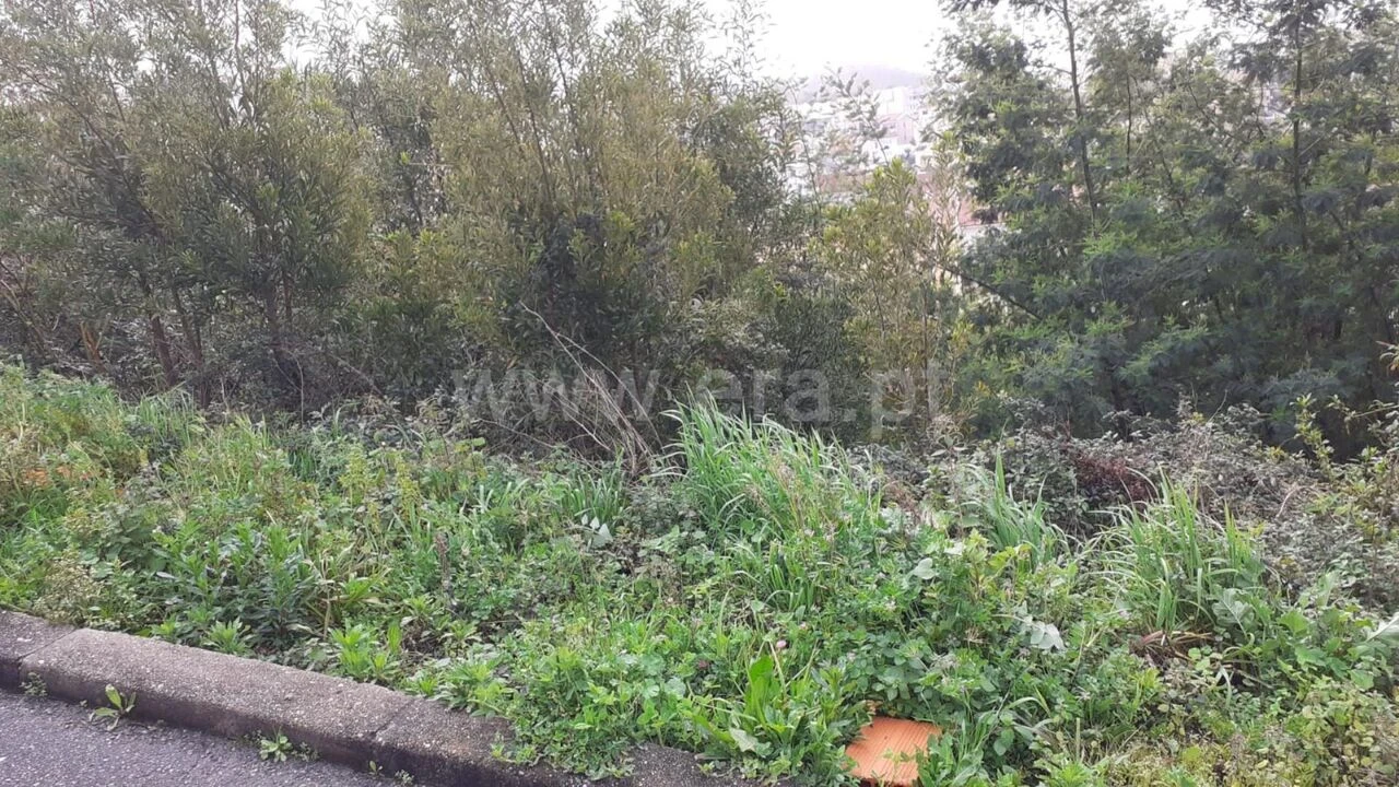 Terreno para Venda em Grijó e Sermonde Foto 7