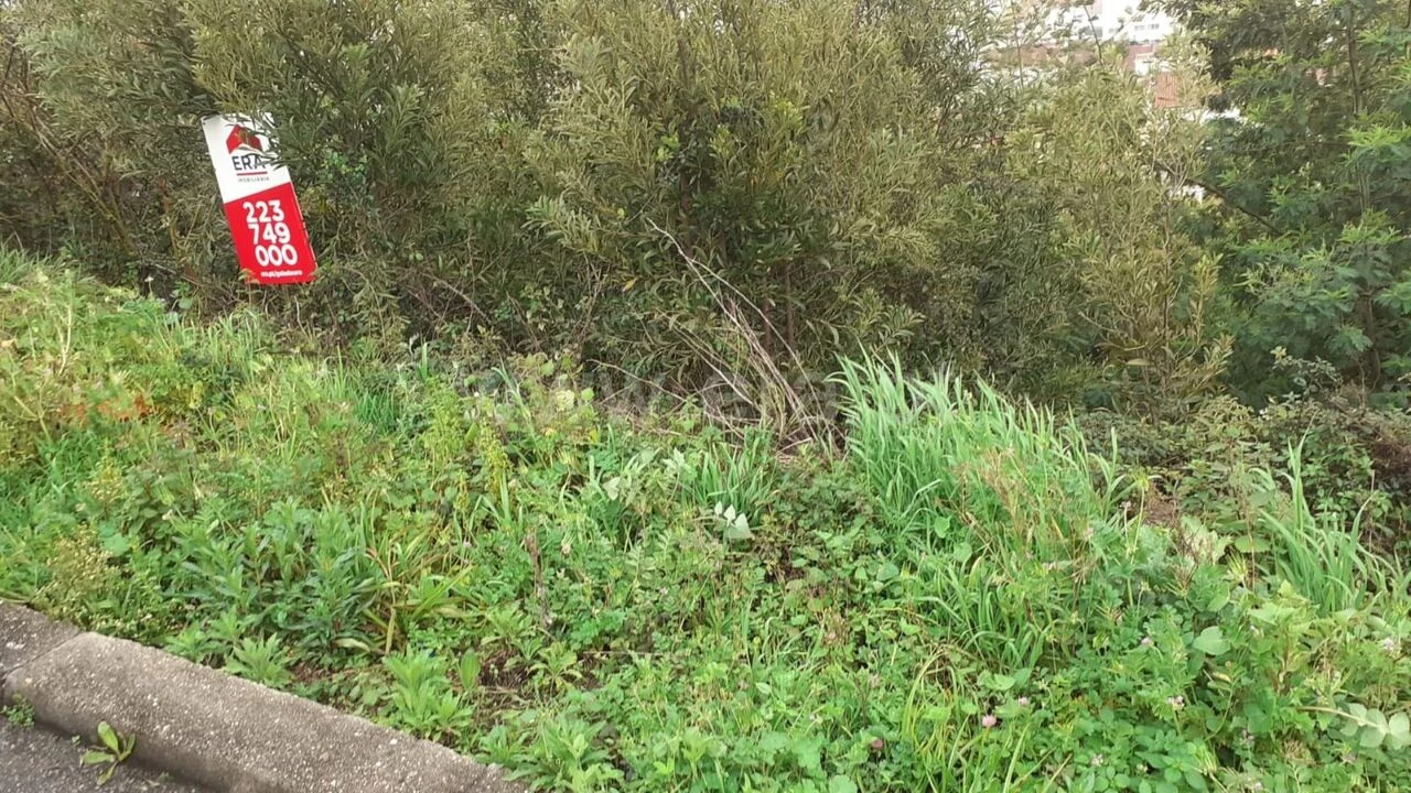 Terreno para Venda em Grijó e Sermonde Foto 3