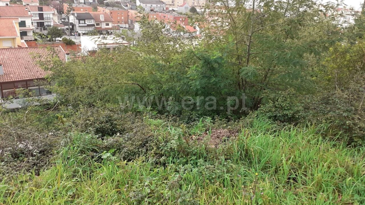 Terreno para Venda em Grijó e Sermonde Foto 5