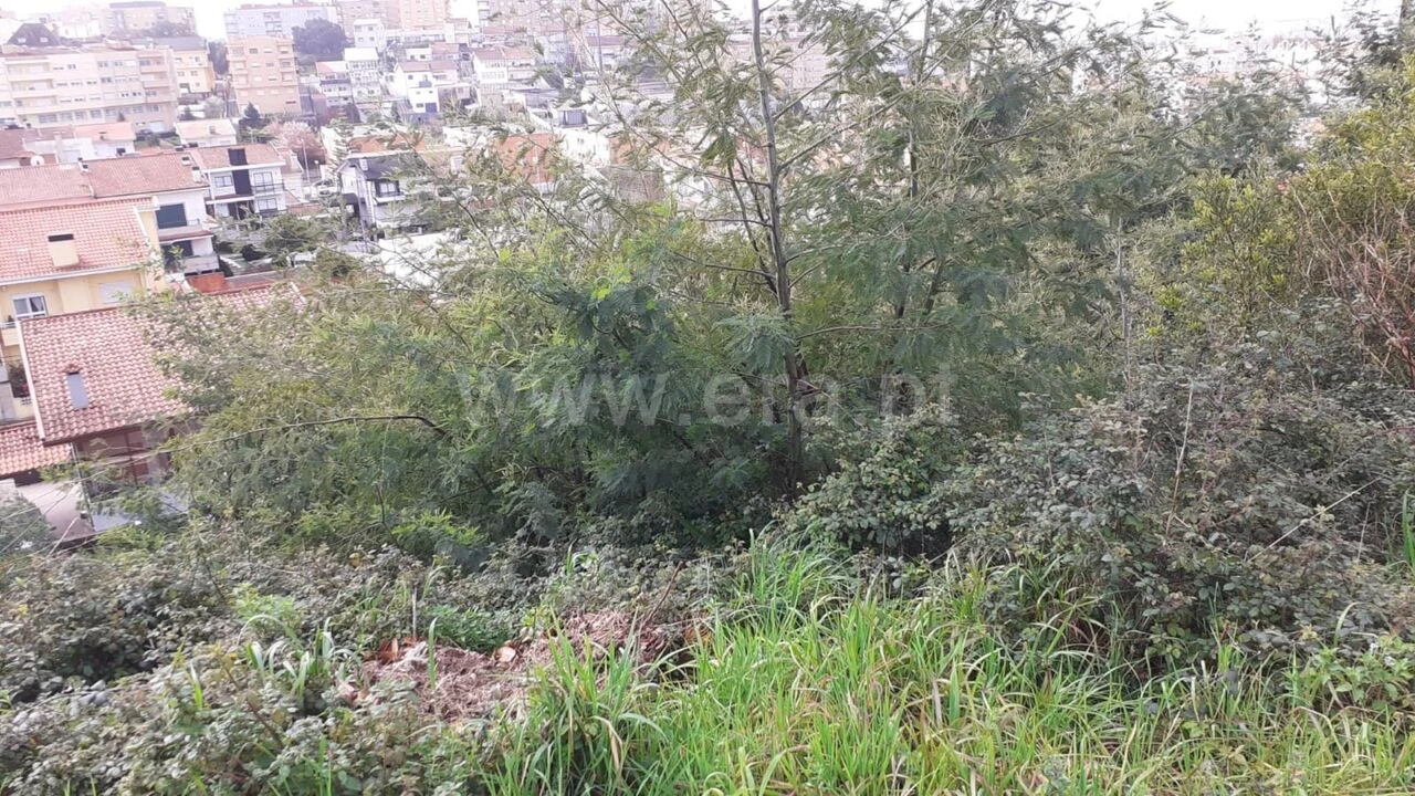 Terreno para Venda em Grijó e Sermonde Foto 8