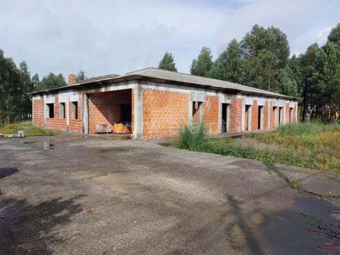 Moradia T3 para Venda em Canedo, Vale e Vila Maior Foto 2