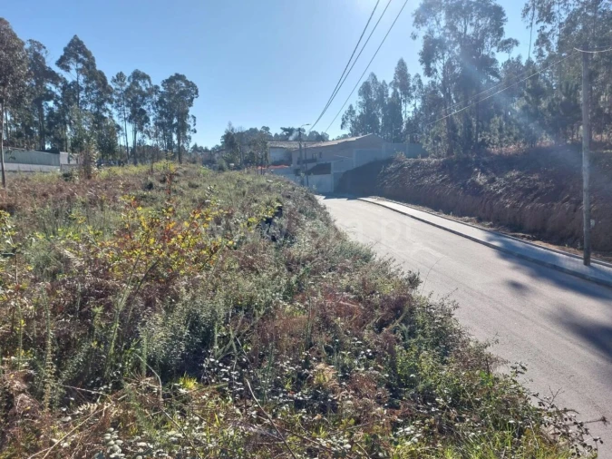 Terreno para Venda em Argoncilhe Foto 19