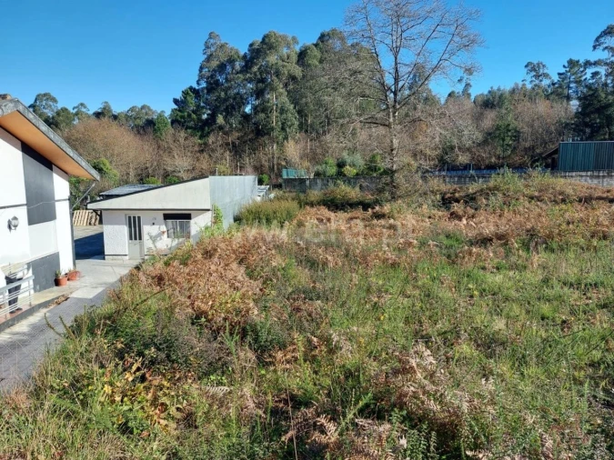 Terreno para Venda em Argoncilhe Foto 8