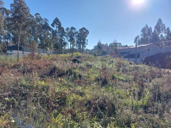 Terreno para Venda em Argoncilhe Foto 18