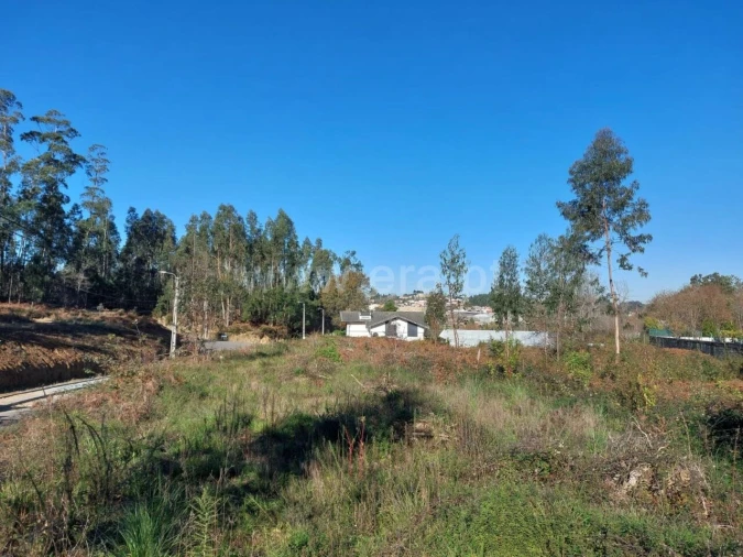 Terreno para Venda em Argoncilhe Foto 10