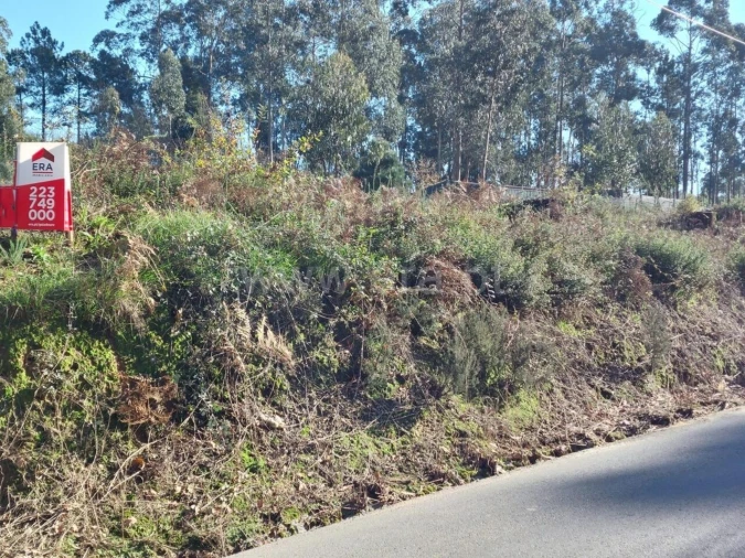Terreno para Venda em Argoncilhe Foto 5