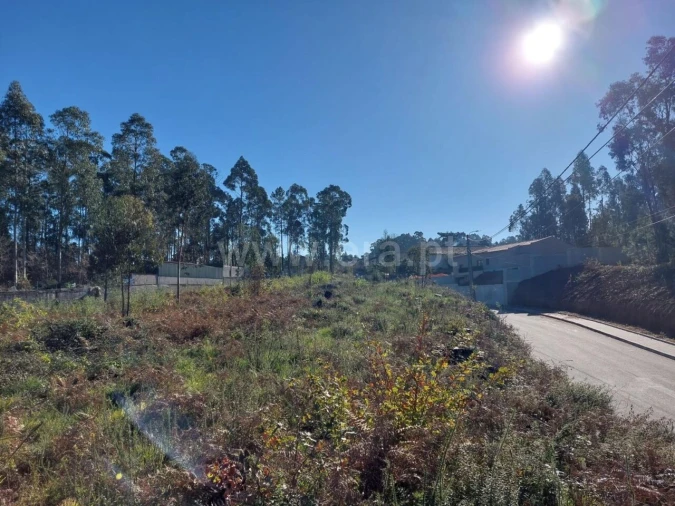 Terreno para Venda em Argoncilhe Foto 14