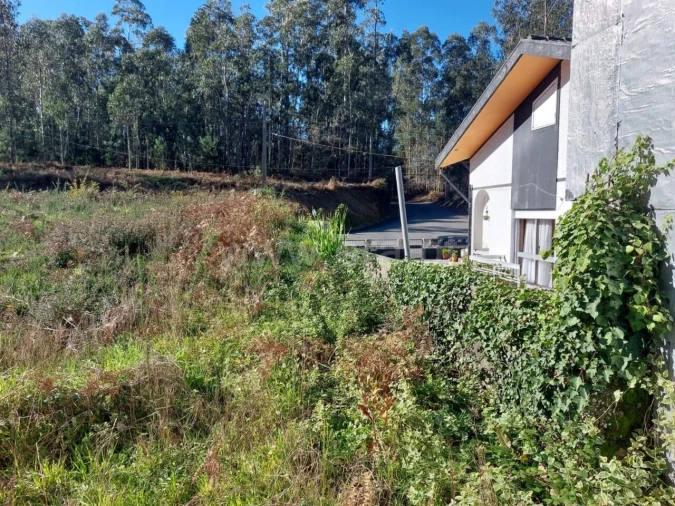 Terreno para Venda em Argoncilhe Foto 3