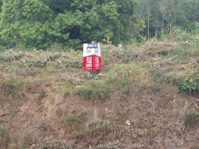 Terreno para Venda em Argoncilhe