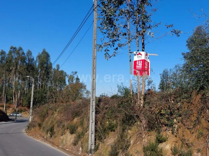 Terreno para Venda em Argoncilhe Foto 11
