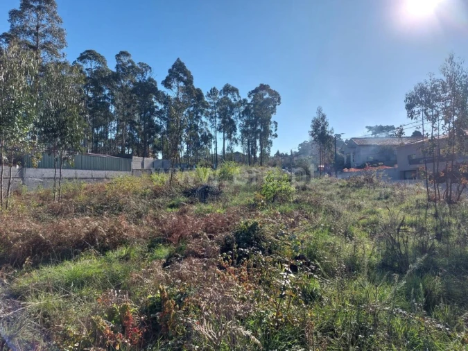 Terreno para Venda em Argoncilhe Foto 17