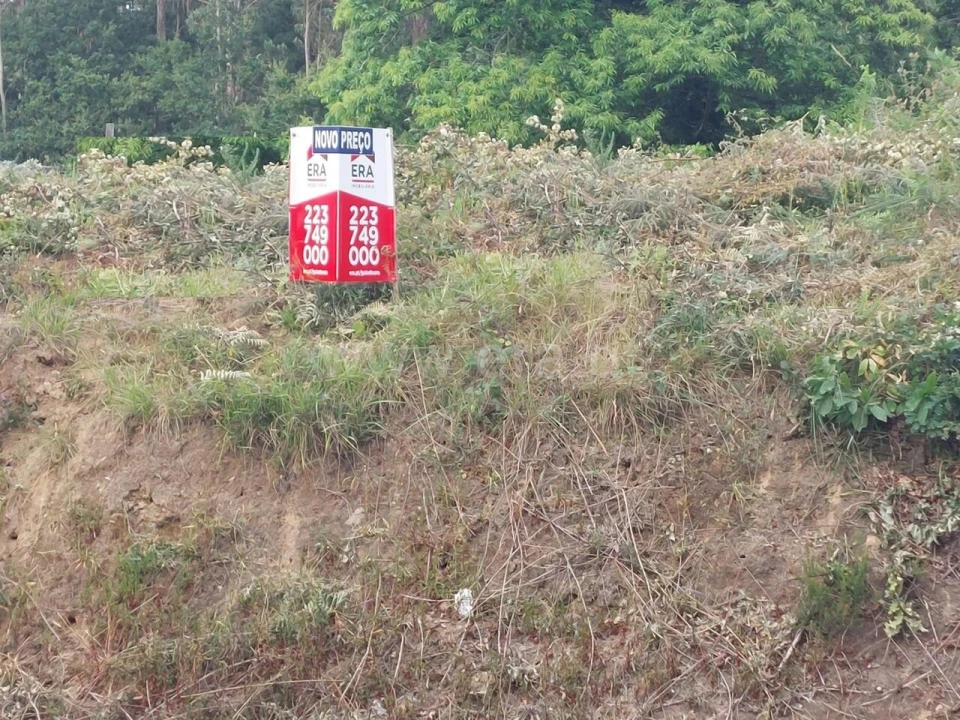 Terreno para Venda em Argoncilhe Foto 20