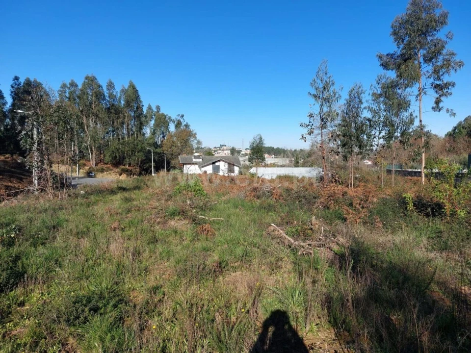 Terreno para Venda em Argoncilhe Foto 7