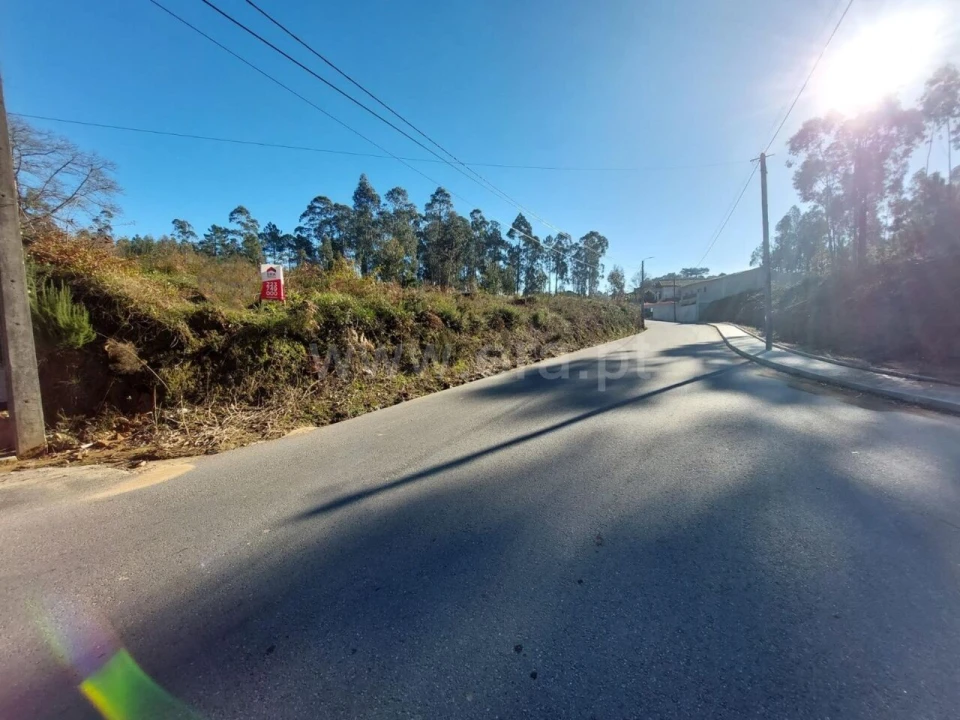 Terreno para Venda em Argoncilhe Foto 12