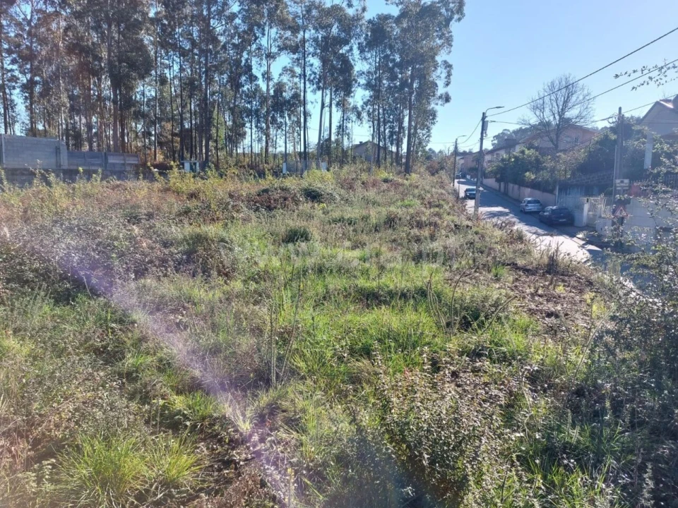 Terreno para Venda em Argoncilhe Foto 4