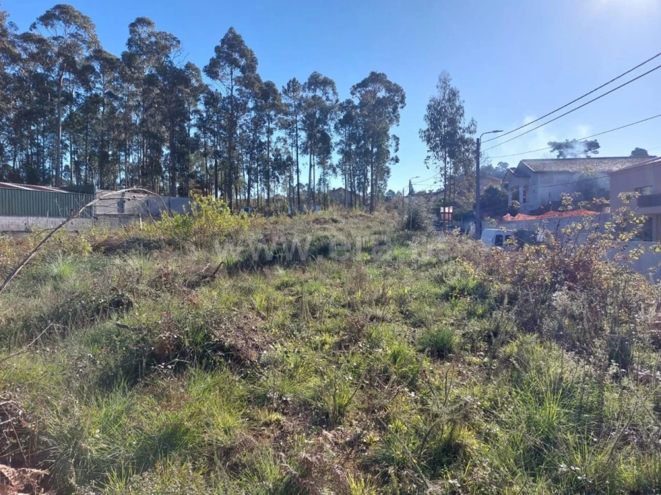 Terreno para Venda em Argoncilhe Foto 16