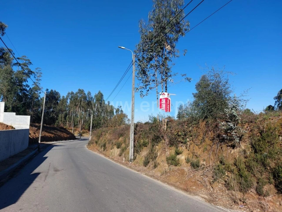 Terreno para Venda em Argoncilhe Foto 13