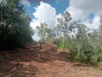 Terreno para Venda em Vilar de Andorinho