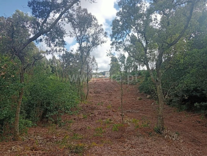 Terreno para Venda em Vilar de Andorinho Foto 10