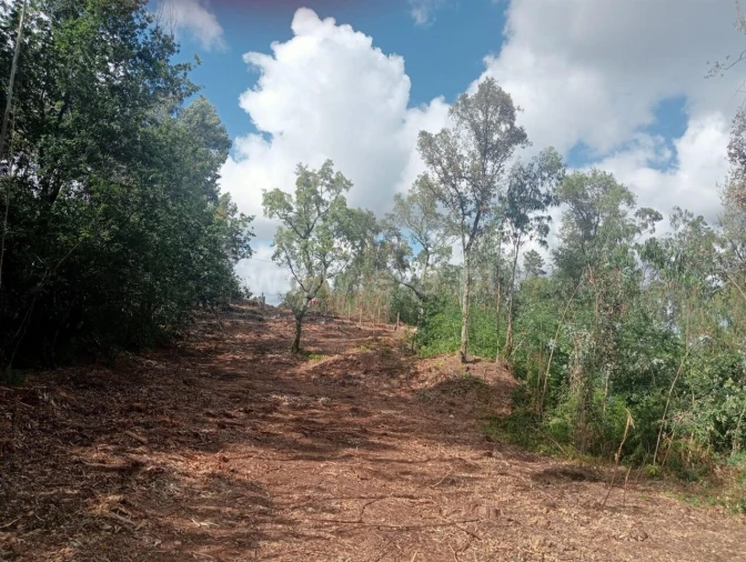 Terreno para Venda em Vilar de Andorinho Foto 9