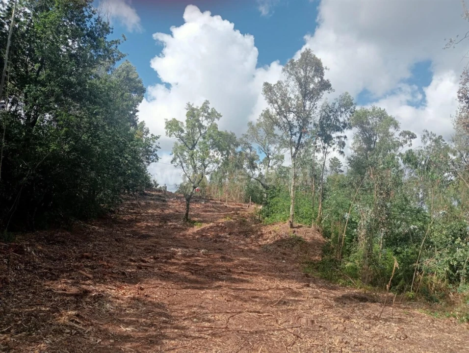 Terreno para Venda em Vilar de Andorinho Foto 9
