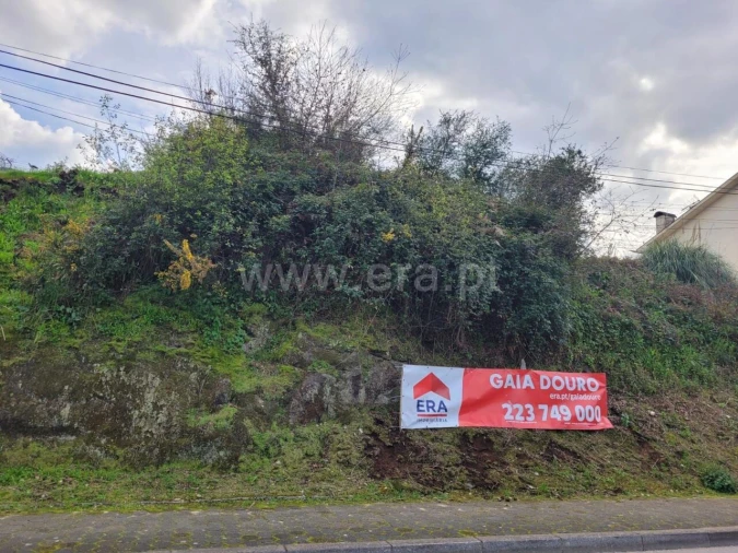 Terreno para Venda em Oliveira do Douro Foto 1
