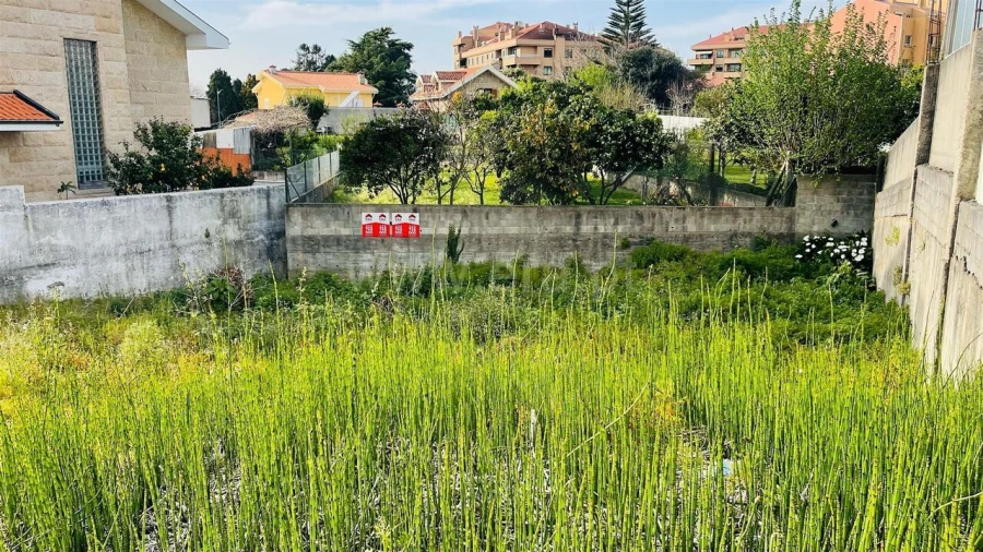 Terreno para Venda em Canelas Foto 5