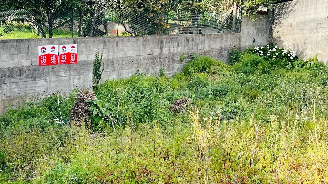 Terreno para Venda em Canelas Foto 10