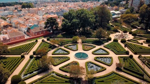 Terreno para Venda em Ajuda
