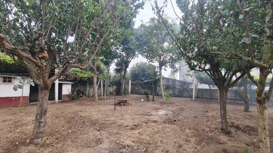 Moradia T3 para Venda em Azurara Foto 4